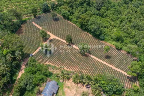 Земельный участок в Май Кхао, Таиланд  № 131017 - фото 3