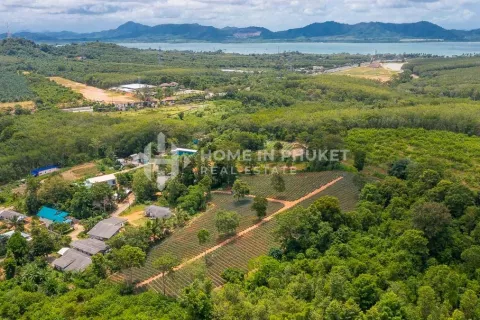 Земельный участок в Май Кхао, Таиланд  № 131017 - фото 8