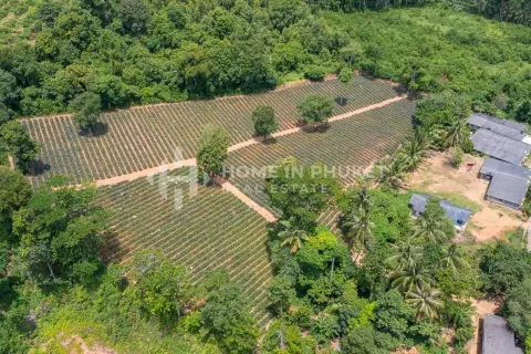 Земельный участок в Май Кхао, Таиланд  № 131017 - фото 4