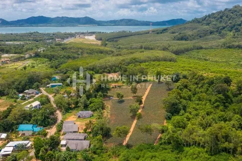 Земельный участок в Май Кхао, Таиланд  № 131017 - фото 2