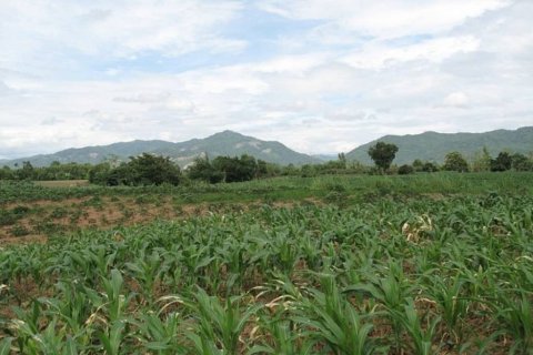 Земельный участок в Чианграе, Таиланд  № 132534 - фото 6