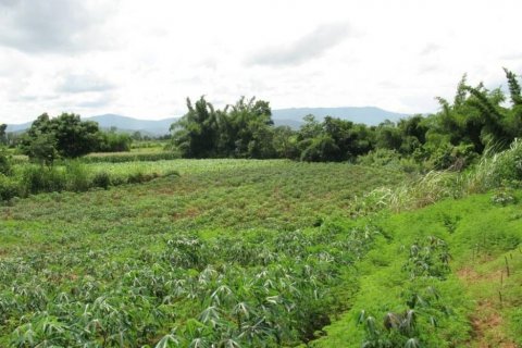 Земельный участок в Чианграе, Таиланд  № 132534 - фото 8