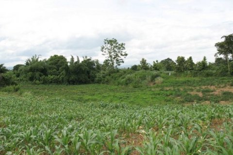 Земельный участок в Чианграе, Таиланд  № 132534 - фото 5