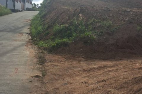 Земельный участок в Самуи, Таиланд  № 124454 - фото 6