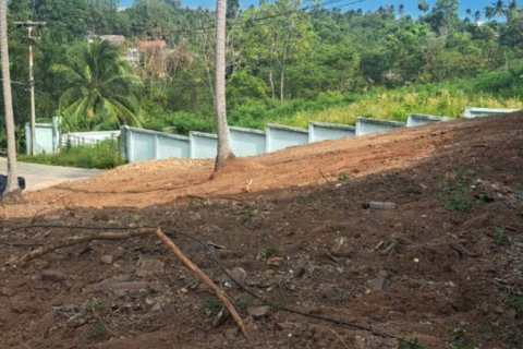 Земельный участок в Самуи, Таиланд  № 124454 - фото 2