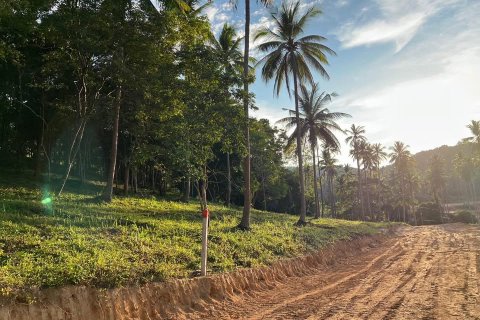 Земельный участок в Самуи, Таиланд  № 126031 - фото 4
