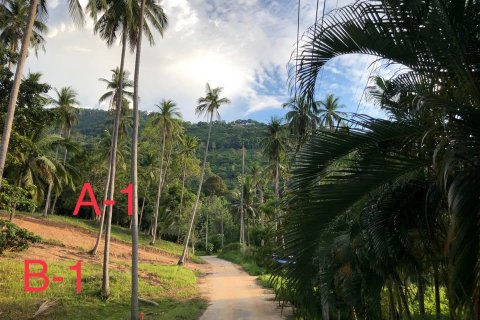 Земельный участок в Самуи, Таиланд  № 126031 - фото 5