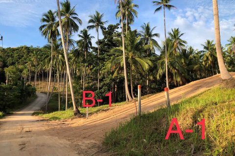 Земельный участок в Самуи, Таиланд  № 126031 - фото 6