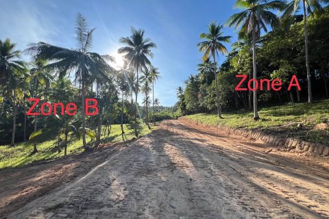 Земельный участок в Самуи, Таиланд  № 126031 - фото 2