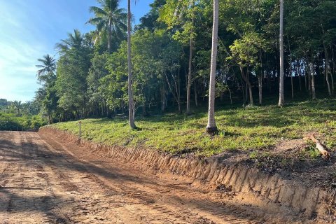 Земельный участок в Самуи, Таиланд  № 126031 - фото 1