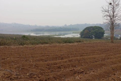Terrain à Chiang Saen, Thaïlande № 126636 - photo 4