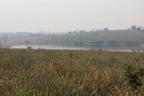 Terrain à Chiang Saen, Thaïlande № 126636 - photo 5