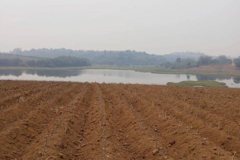 Terrain à Chiang Saen, Thaïlande № 126636 - photo 7