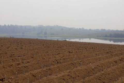 Terrain à Chiang Saen, Thaïlande № 126636 - photo 3