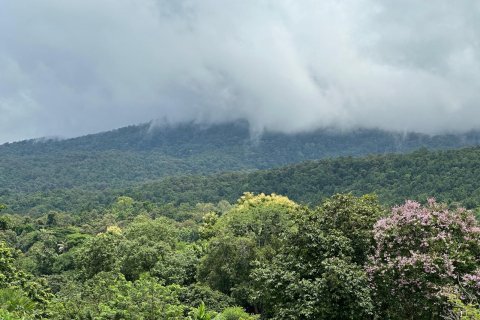 Studio dans le Condo à Chiang Mai, Thaïlande № 141564 - photo 16