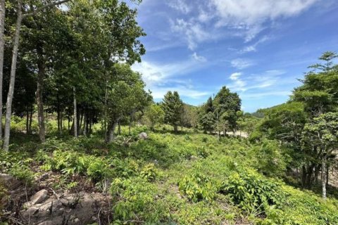 Terrain à Surat Thani, Thaïlande № 126039 - photo 2