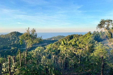 Terrain à Surat Thani, Thaïlande № 126039 - photo 1