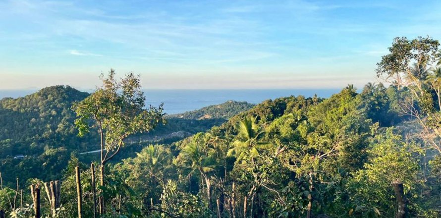 Terrain à Surat Thani, Thaïlande № 126039