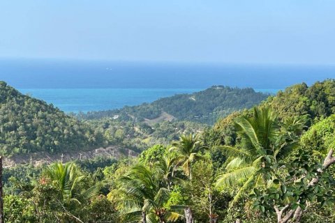 Terrain à Surat Thani, Thaïlande № 126039 - photo 3
