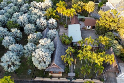 Земельный участок в Чиангмае, Таиланд № 122812 - фото 7