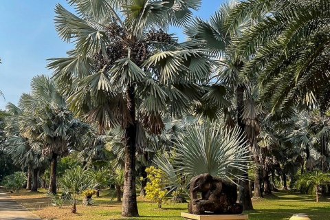 Land in Chiang Mai, Thailand № 122812 - photo 12