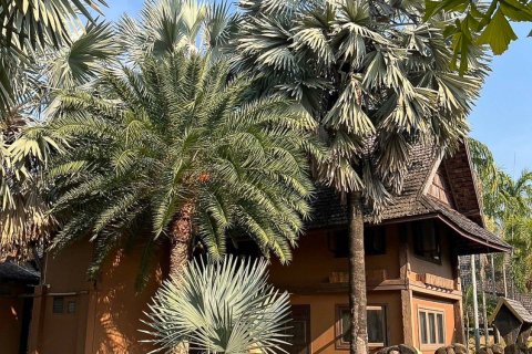 Terrain à Chiang Mai, Thaïlande 2400 m2 № 122812 - photo 22