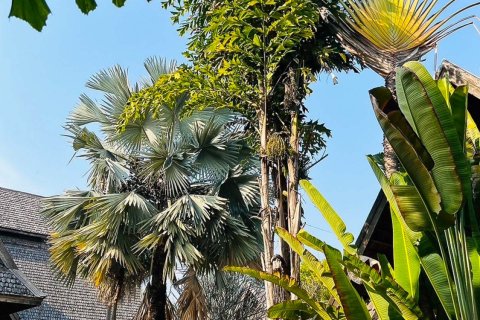 Land in Chiang Mai, Thailand № 122812 - photo 27