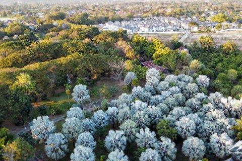 Land in Chiang Mai, Thailand 2400 sq.m. № 122812 - photo 8
