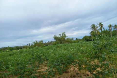 Земельный участок в Паттайе, Таиланд  № 125798 - фото 1