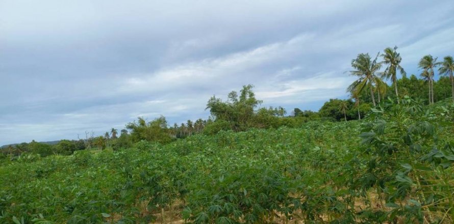 Земельный участок в Паттайе, Таиланд  № 125798