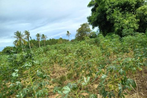 Земельный участок в Паттайе, Таиланд  № 125798 - фото 4