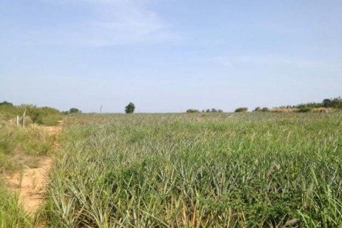 Terrain à Hua Hin, Thaïlande № 125250 - photo 4