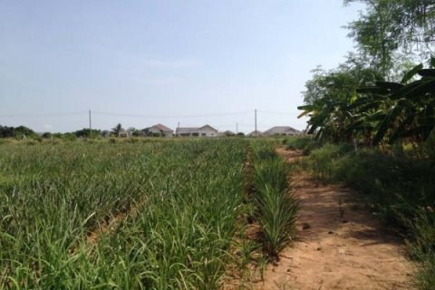 Terrain à Hua Hin, Thaïlande № 125250 - photo 6