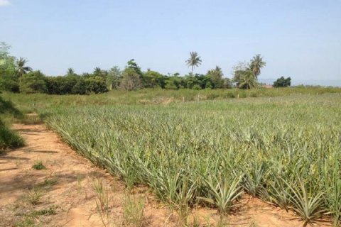 Terrain à Hua Hin, Thaïlande № 125250 - photo 7