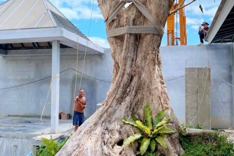 Villa à Ko Samui, Thaïlande 3 chambres № 124690 - photo 7