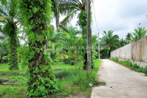 Land in Phuket, Thailand № 131615 - photo 1