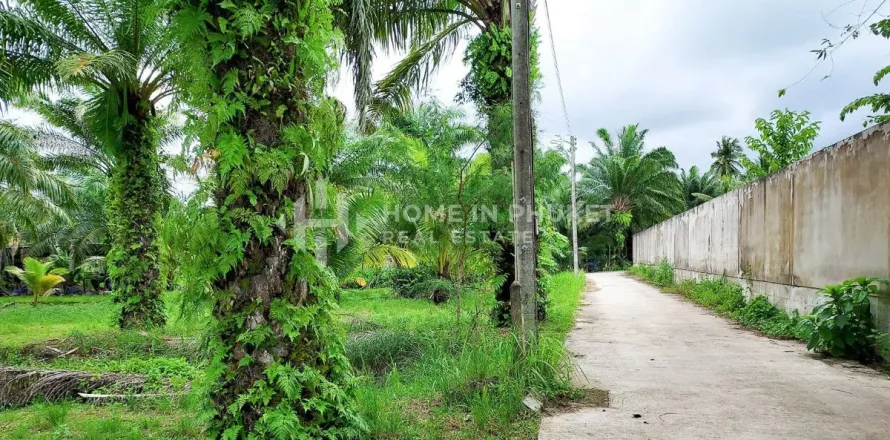 Land in Phuket, Thailand № 131615