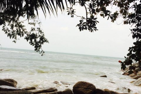 Земельный участок в Вианг Са, Таиланд № 115818 - фото 6