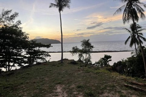 Земельный участок в Вианг Са, Таиланд № 115818 - фото 7