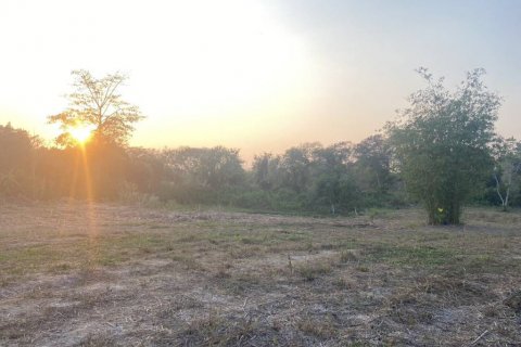 Земельный участок в Хуа Хине, Таиланд  № 85839 - фото 8