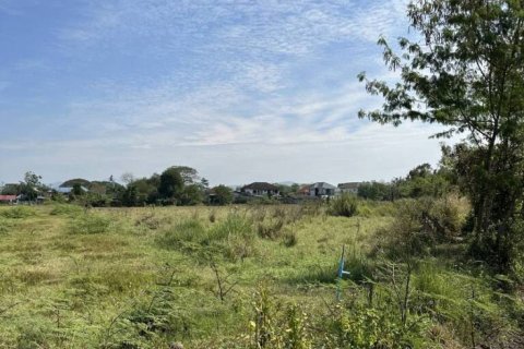 Land in San Kamphaeng, Thailand № 85837 - photo 4