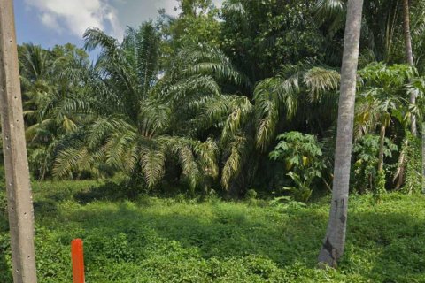 Земельный участок в Сураттхани, Таиланд  № 132452 - фото 4