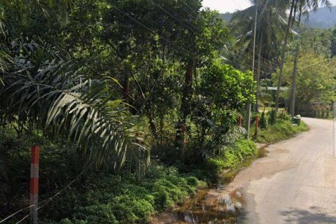 Земельный участок в Сураттхани, Таиланд  № 132452 - фото 1