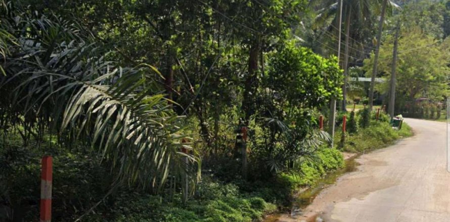 Земельный участок в Сураттхани, Таиланд  № 132452