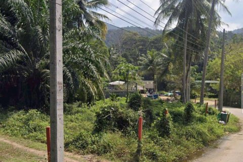 Земельный участок в Сураттхани, Таиланд  № 132452 - фото 2