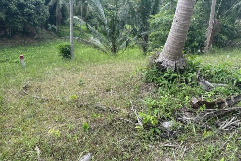 Земельный участок в Сураттхани, Таиланд № 132450 - фото 2