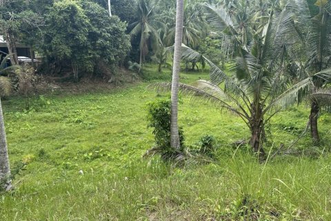 Земельный участок в Сураттхани, Таиланд № 132450 - фото 3