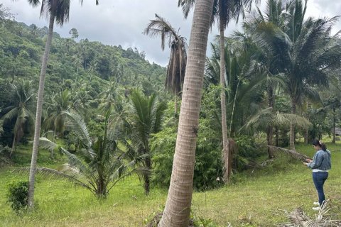 Земельный участок в Сураттхани, Таиланд № 132450 - фото 1