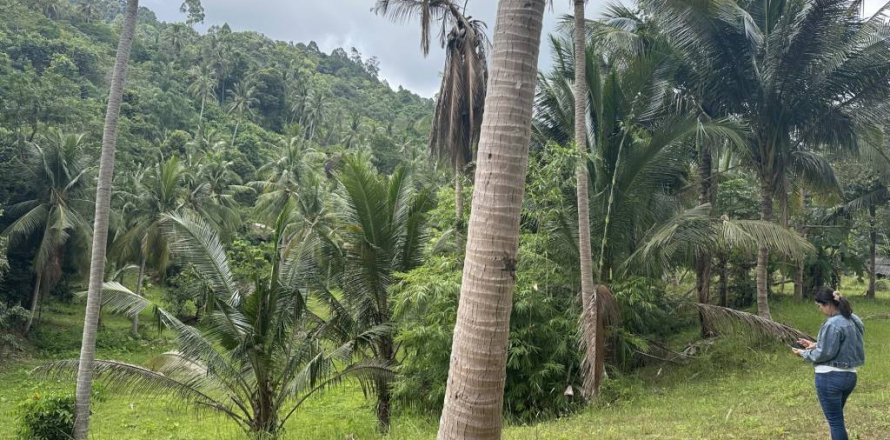 Земельный участок в Сураттхани, Таиланд № 132450