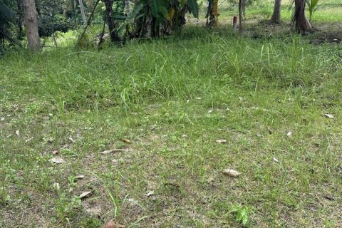 Земельный участок в Сураттхани, Таиланд № 132450 - фото 6